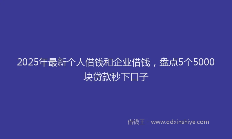 2025年最新个人借钱和企业借钱，盘点5个5000块贷款秒下口子