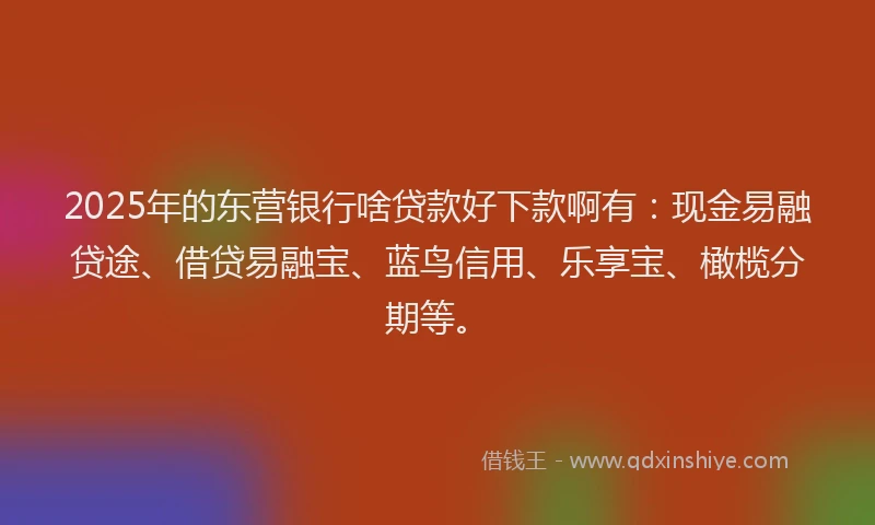 2025年的东营银行啥贷款好下款啊有：现金易融贷途、借贷易融宝、蓝鸟信用、乐享宝、橄榄分期等。