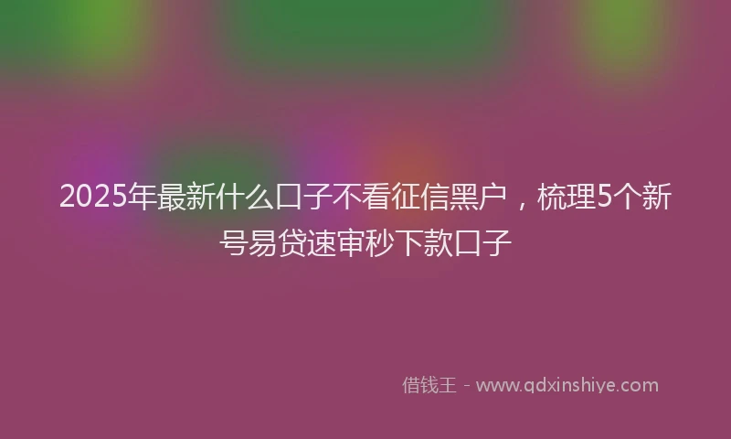 2025年最新什么口子不看征信黑户，梳理5个新号易贷速审秒下款口子