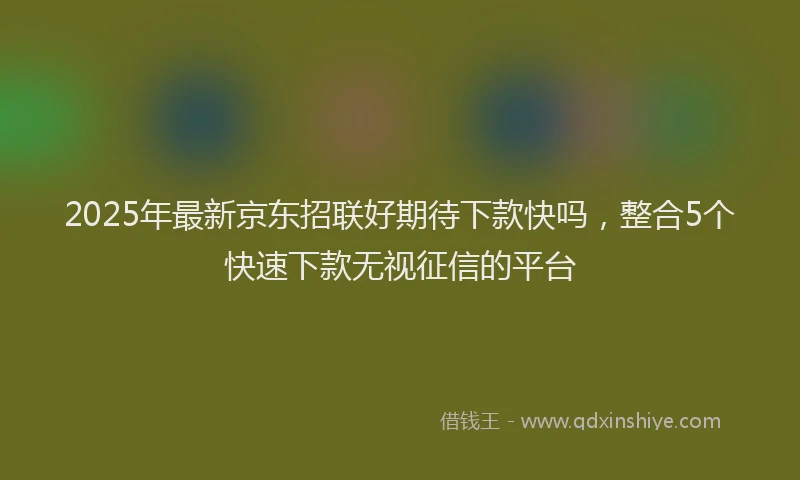 2025年最新京东招联好期待下款快吗，整合5个快速下款无视征信的平台
