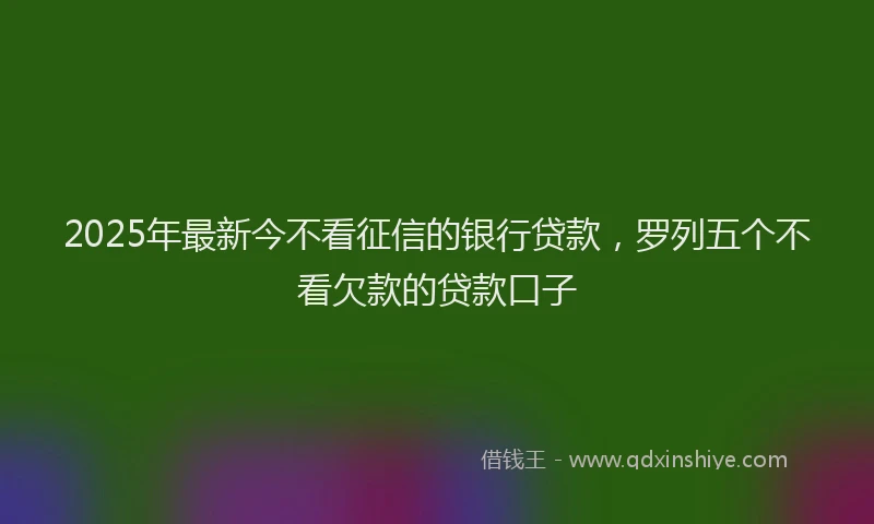 2025年最新今不看征信的银行贷款，罗列五个不看欠款的贷款口子