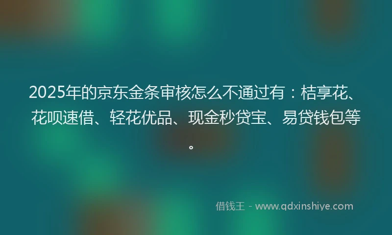 2025年的京东金条审核怎么不通过有：桔享花、花呗速借、轻花优品、现金秒贷宝、易贷钱包等。
