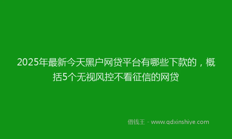 2025年最新今天黑户网贷平台有哪些下款的，概括5个无视风控不看征信的网贷