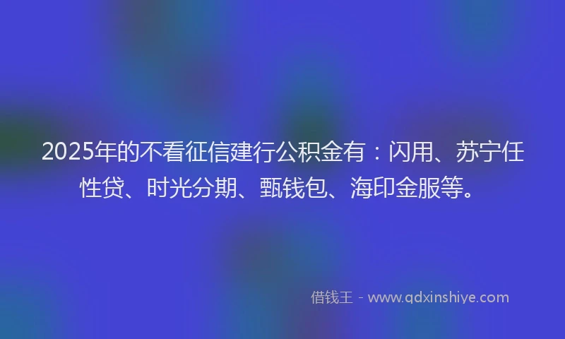 2025年的不看征信建行公积金有：闪用、苏宁任性贷、时光分期、甄钱包、海印金服等。