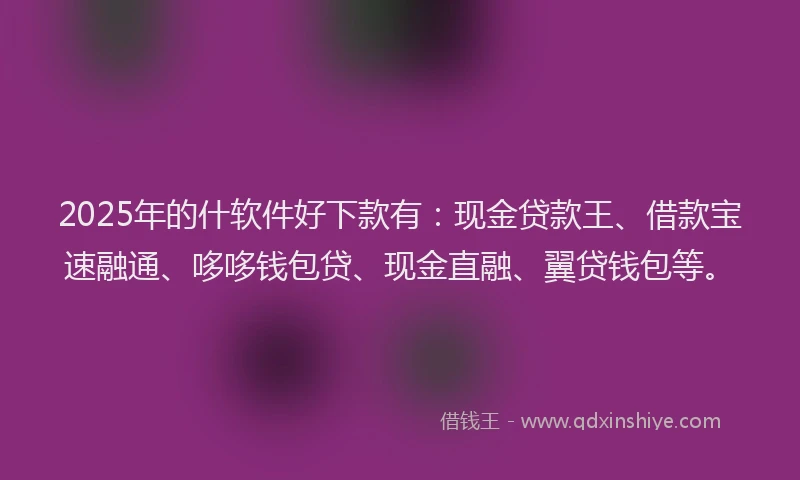 2025年的什软件好下款有：现金贷款王、借款宝速融通、哆哆钱包贷、现金直融、翼贷钱包等。