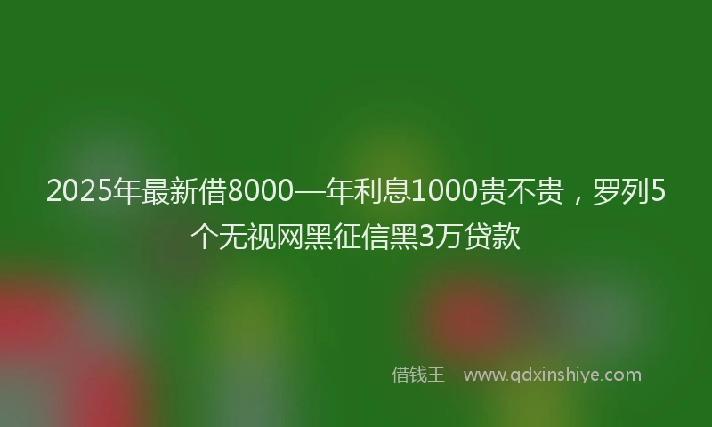 2025年最新借8000—年利息1000贵不贵，罗列5个无视网黑征信黑3万贷款