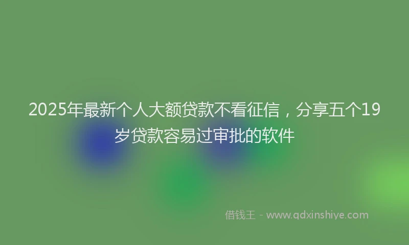 2025年最新个人大额贷款不看征信，分享五个19岁贷款容易过审批的软件