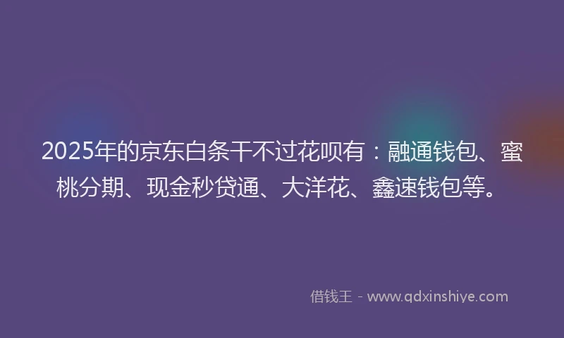 2025年的京东白条干不过花呗有：融通钱包、蜜桃分期、现金秒贷通、大洋花、鑫速钱包等。