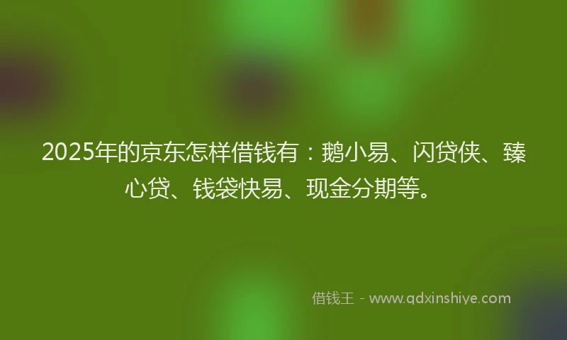2025年的京东怎样借钱有：鹅小易、闪贷侠、臻心贷、钱袋快易、现金分期等。