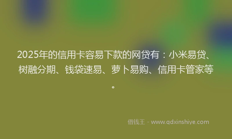 2025年的信用卡容易下款的网贷有：小米易贷、树融分期、钱袋速易、萝卜易购、信用卡管家等。