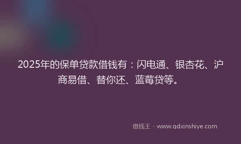 2025年的保单贷款借钱有：闪电通、银杏花、沪商易借、替你还、蓝莓贷等。