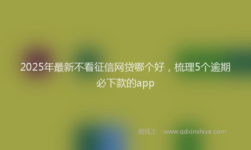2025年最新不看征信网贷哪个好，梳理5个逾期必下款的app