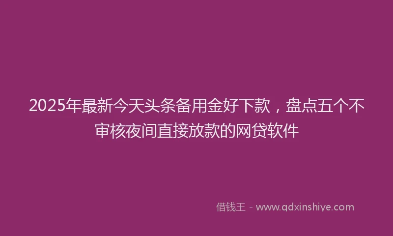 2025年最新今天头条备用金好下款，盘点五个不审核夜间直接放款的网贷软件