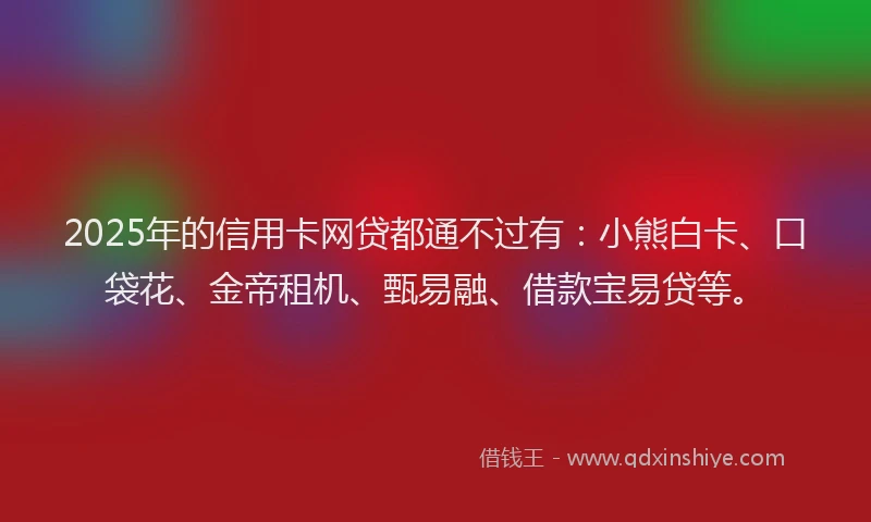 2025年的信用卡网贷都通不过有：小熊白卡、口袋花、金帝租机、甄易融、借款宝易贷等。