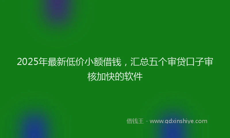 2025年最新低价小额借钱，汇总五个审贷口子审核加快的软件