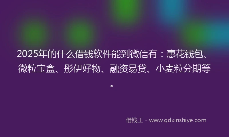 2025年的什么借钱软件能到微信有：惠花钱包、微粒宝盒、彤伊好物、融资易贷、小麦粒分期等。