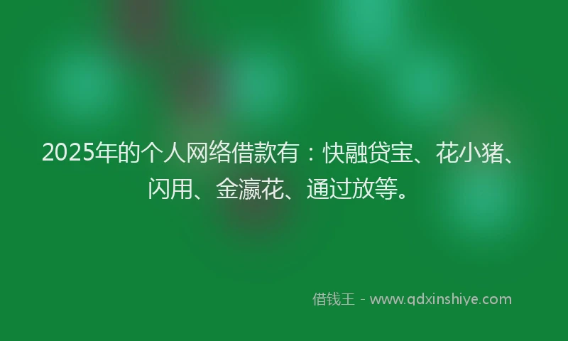 2025年的个人网络借款有：快融贷宝、花小猪、闪用、金瀛花、通过放等。