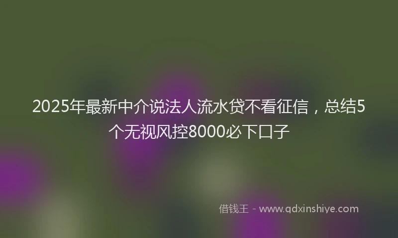 2025年最新中介说法人流水贷不看征信，总结5个无视风控8000必下口子