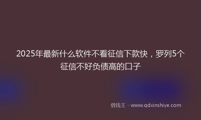 2025年最新什么软件不看征信下款快，罗列5个征信不好负债高的口子