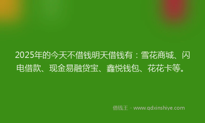 2025年的今天不借钱明天借钱有：雪花商城、闪电借款、现金易融贷宝、鑫悦钱包、花花卡等。