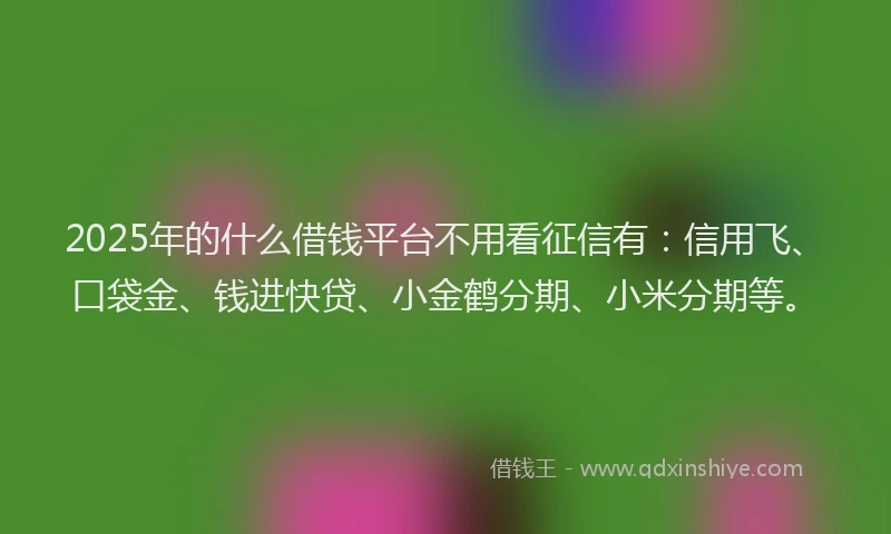2025年的什么借钱平台不用看征信有：信用飞、口袋金、钱进快贷、小金鹤分期、小米分期等。