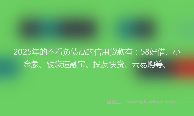 2025年的不看负债高的信用贷款有：58好借、小金象、钱袋速融宝、投友快贷、云易购等。