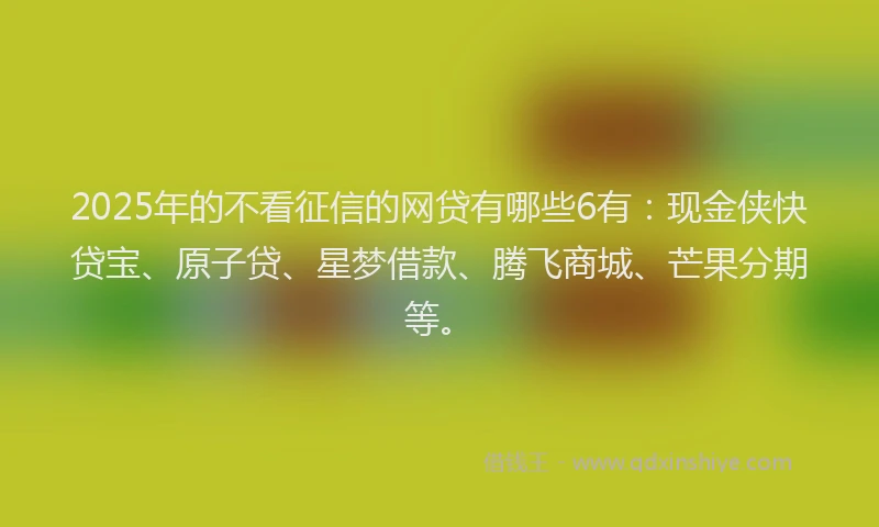 2025年的不看征信的网贷有哪些6有：现金侠快贷宝、原子贷、星梦借款、腾飞商城、芒果分期等。