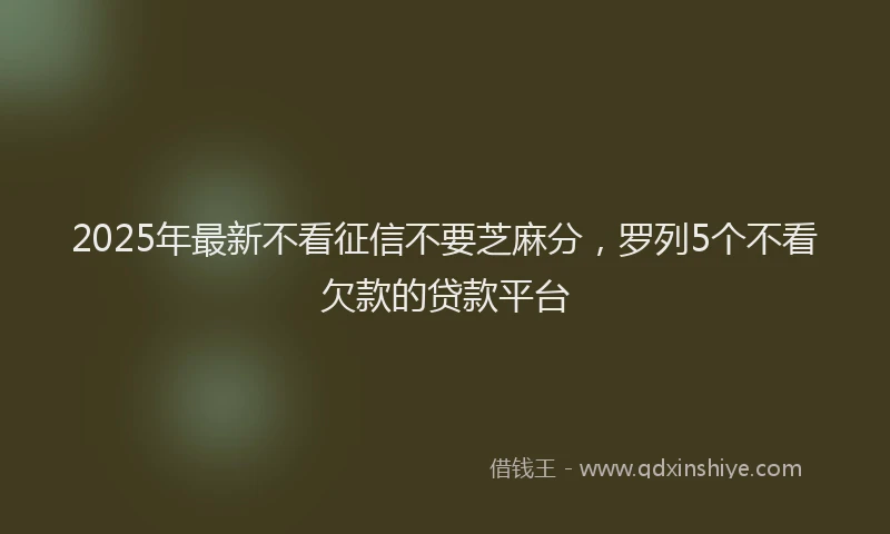 2025年最新不看征信不要芝麻分，罗列5个不看欠款的贷款平台