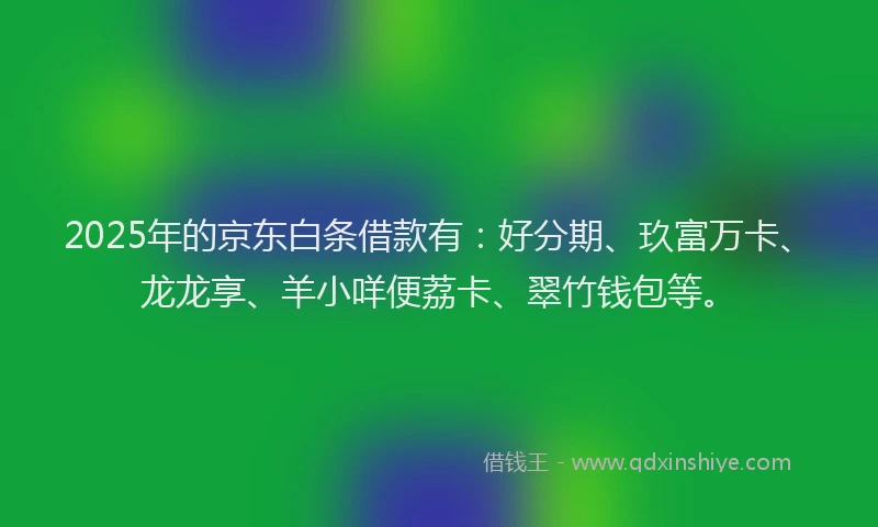 2025年的京东白条借款有：好分期、玖富万卡、龙龙享、羊小咩便荔卡、翠竹钱包等。