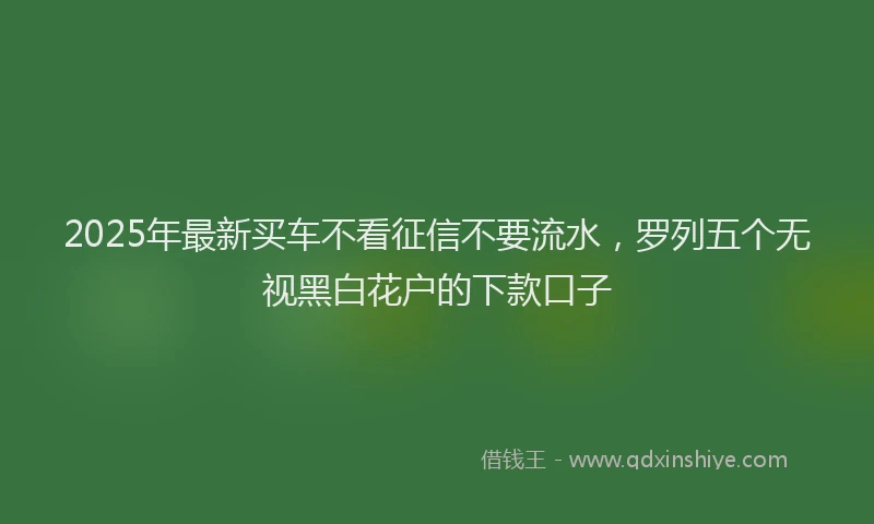 2025年最新买车不看征信不要流水，罗列五个无视黑白花户的下款口子