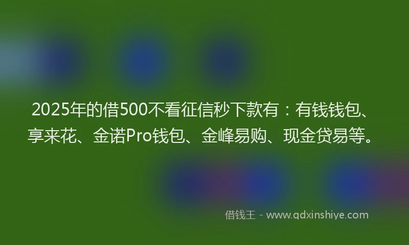 2025年的借500不看征信秒下款有：有钱钱包、享来花、金诺Pro钱包、金峰易购、现金贷易等。