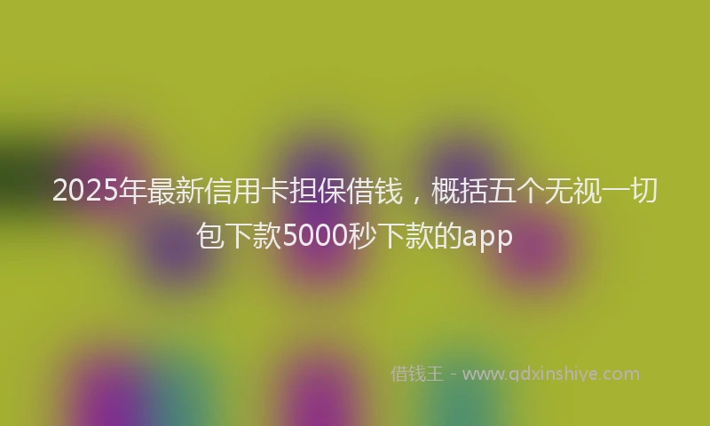 2025年最新信用卡担保借钱，概括五个无视一切包下款5000秒下款的app