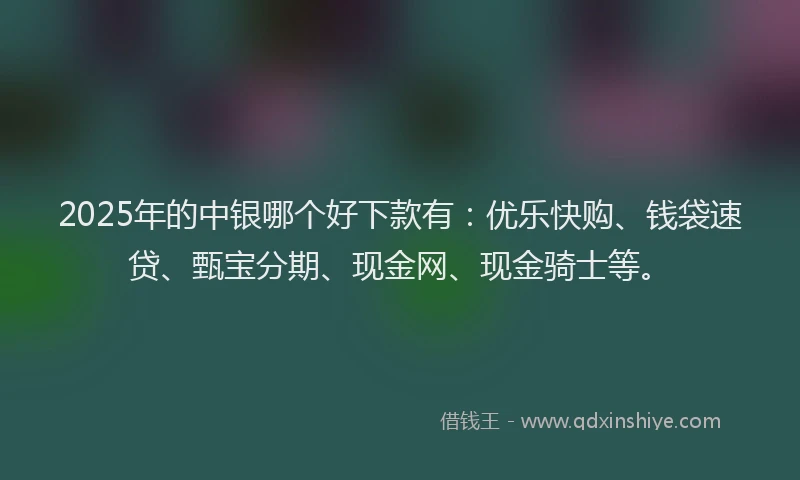 2025年的中银哪个好下款有：优乐快购、钱袋速贷、甄宝分期、现金网、现金骑士等。