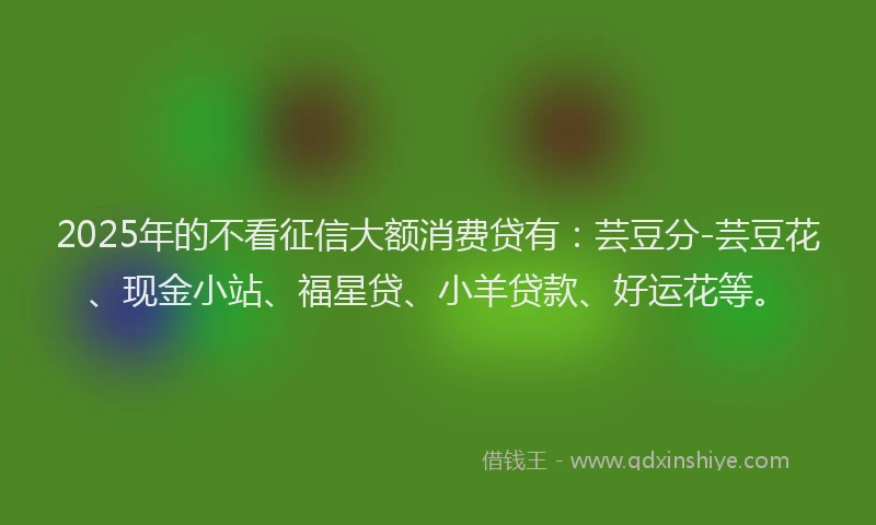2025年的不看征信大额消费贷有：芸豆分-芸豆花、现金小站、福星贷、小羊贷款、好运花等。