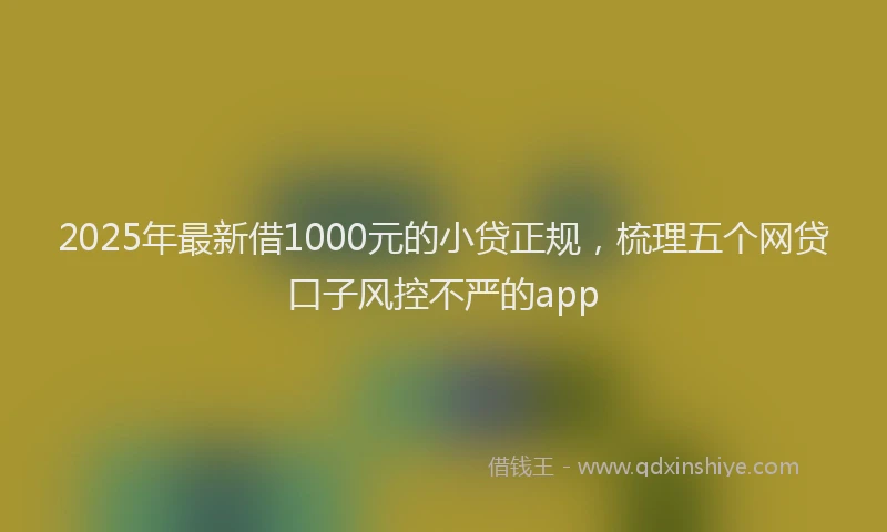 2025年最新借1000元的小贷正规，梳理五个网贷口子风控不严的app