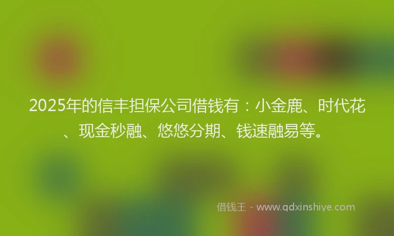 2025年的信丰担保公司借钱有：小金鹿、时代花、现金秒融、悠悠分期、钱速融易等。