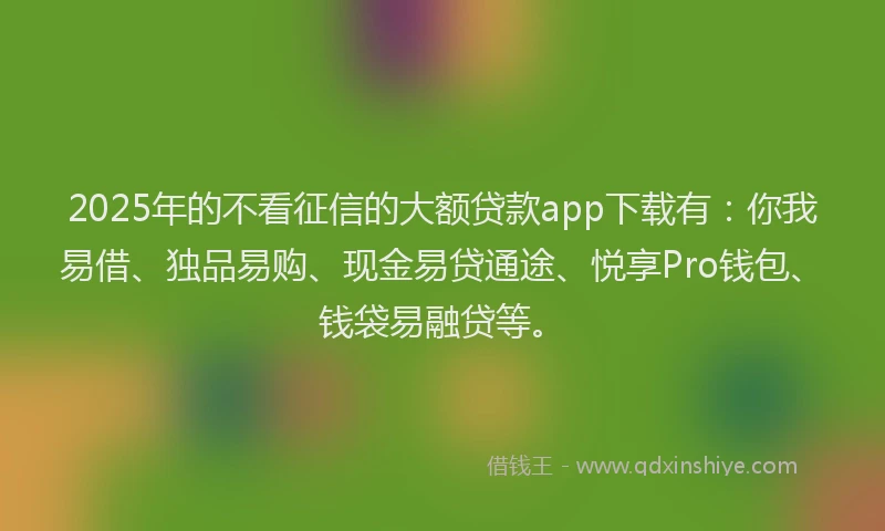 2025年的不看征信的大额贷款app下载有：你我易借、独品易购、现金易贷通途、悦享Pro钱包、钱袋易融贷等。