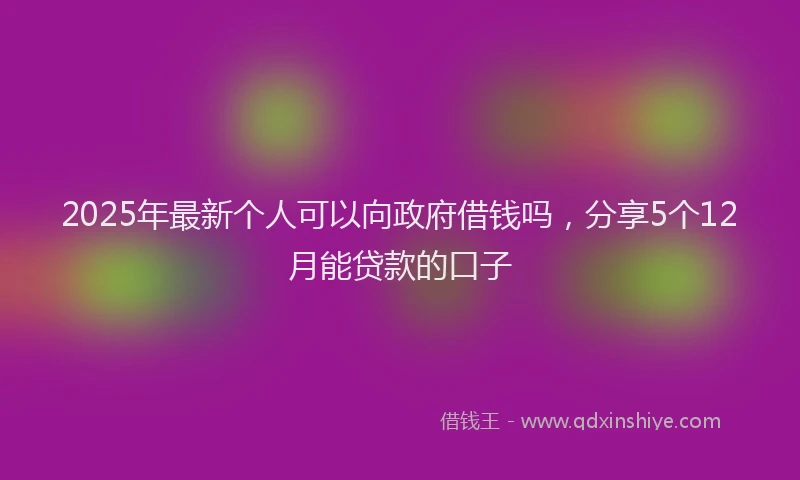 2025年最新个人可以向政府借钱吗，分享5个12月能贷款的口子