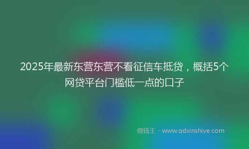 2025年最新东营东营不看征信车抵贷，概括5个网贷平台门槛低一点的口子