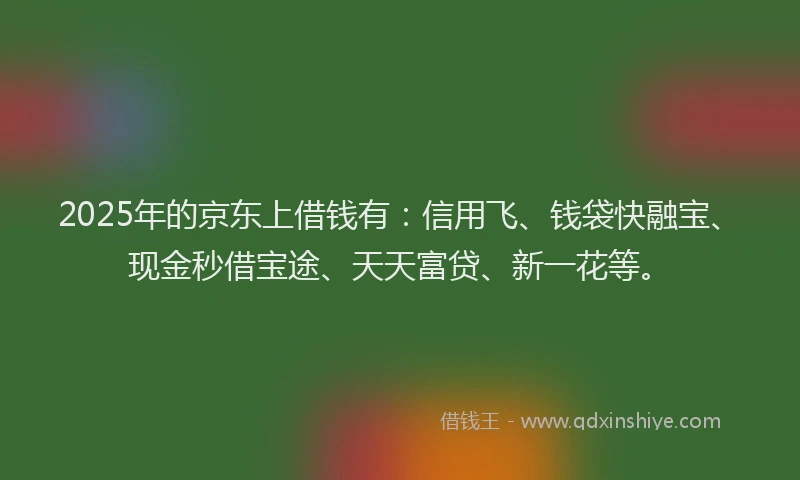 2025年的京东上借钱有：信用飞、钱袋快融宝、现金秒借宝途、天天富贷、新一花等。