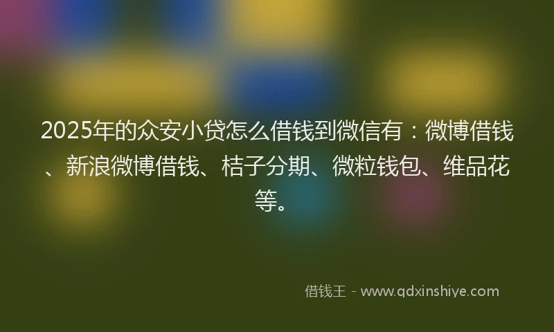 2025年的众安小贷怎么借钱到微信有：微博借钱、新浪微博借钱、桔子分期、微粒钱包、维品花等。