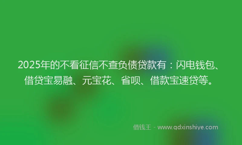 2025年的不看征信不查负债贷款有：闪电钱包、借贷宝易融、元宝花、省呗、借款宝速贷等。