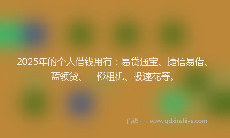2025年的个人借钱用有：易贷通宝、捷信易借、蓝领贷、一橙租机、极速花等。