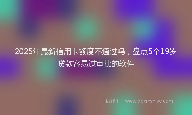 2025年最新信用卡额度不通过吗，盘点5个19岁贷款容易过审批的软件