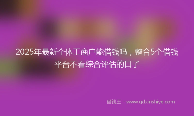2025年最新个体工商户能借钱吗，整合5个借钱平台不看综合评估的口子