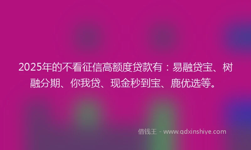 2025年的不看征信高额度贷款有：易融贷宝、树融分期、你我贷、现金秒到宝、鹿优选等。