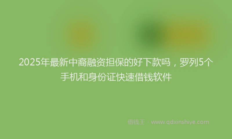 2025年最新中裔融资担保的好下款吗，罗列5个手机和身份证快速借钱软件