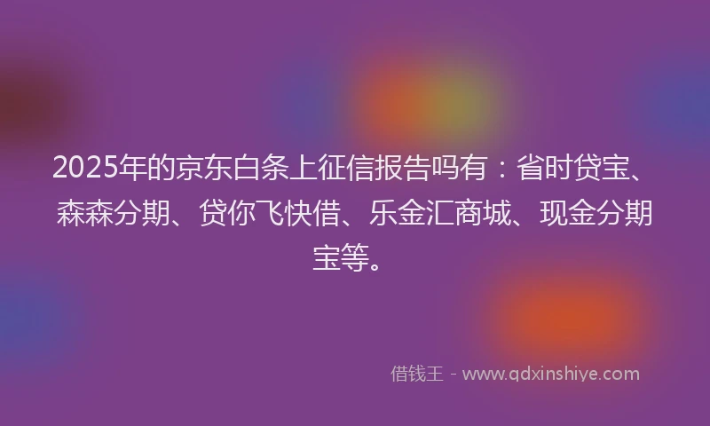 2025年的京东白条上征信报告吗有：省时贷宝、森森分期、贷你飞快借、乐金汇商城、现金分期宝等。