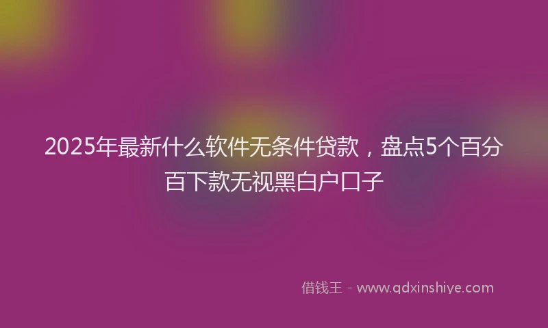 2025年最新什么软件无条件贷款，盘点5个百分百下款无视黑白户口子