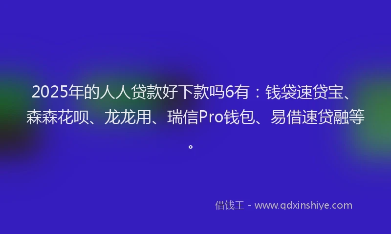 2025年的人人贷款好下款吗6有：钱袋速贷宝、森森花呗、龙龙用、瑞信Pro钱包、易借速贷融等。